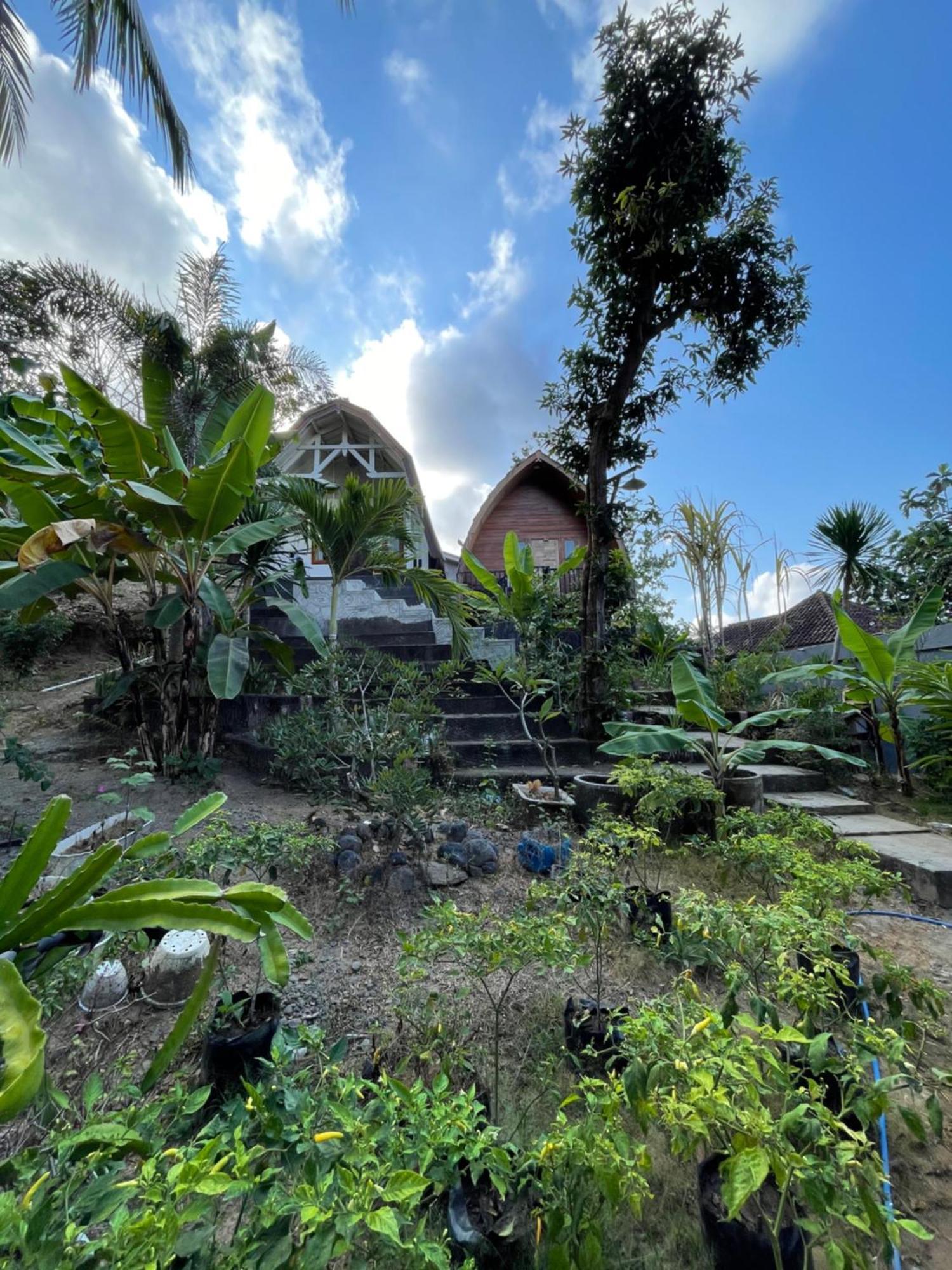 Tri Putri Homestay Kuta  Екстериор снимка
