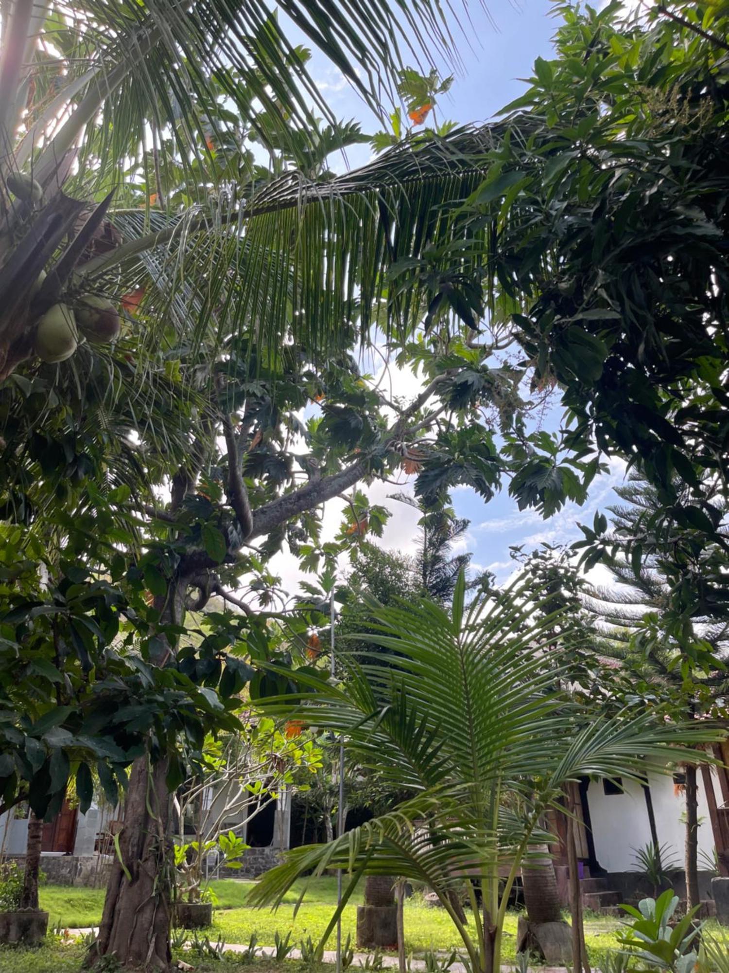 Tri Putri Homestay Kuta  Екстериор снимка
